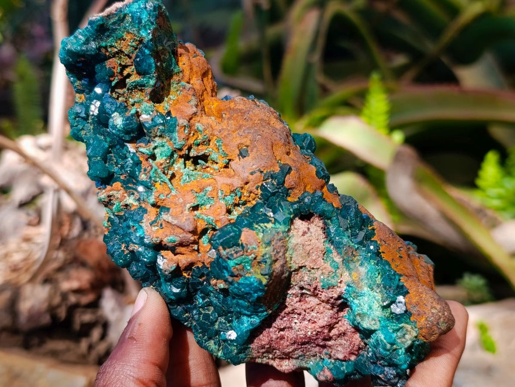Natural Cabinet Size Dioptase Specimen with Siderite on a Dolomite Matrix x 1 From Mashamba East, Congo