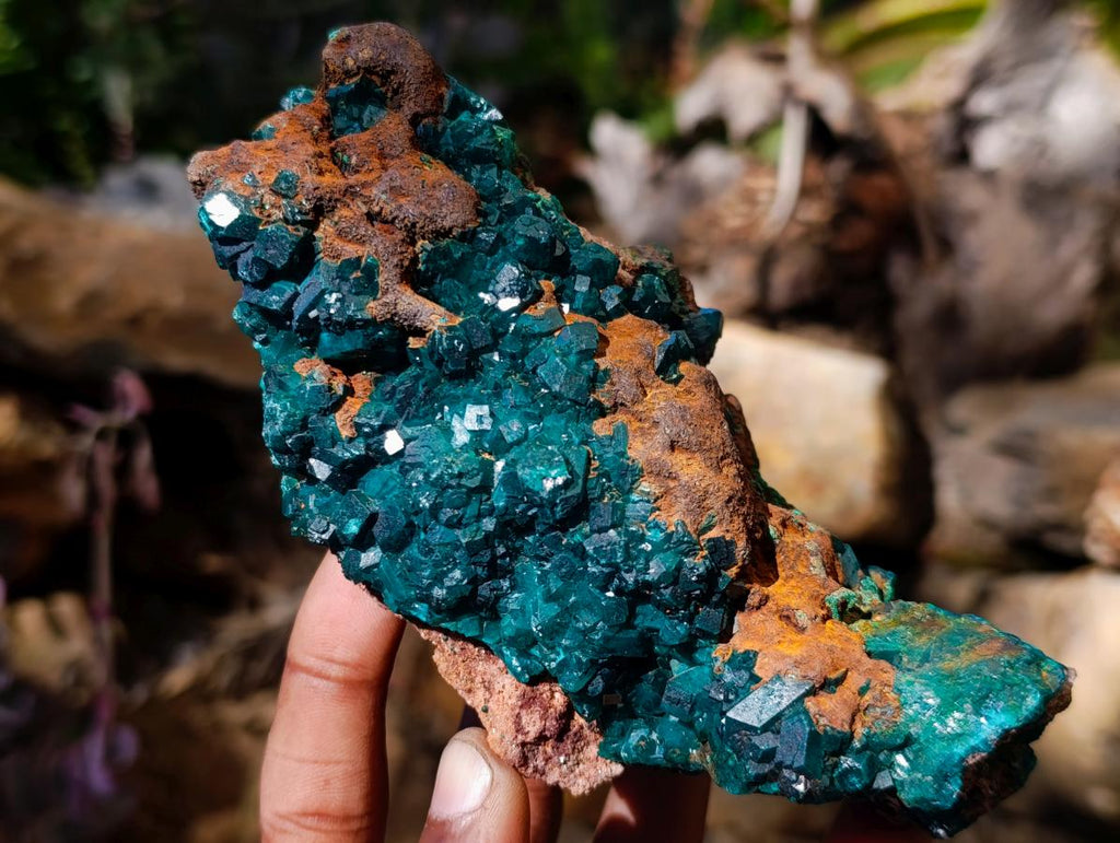 Natural Cabinet Size Dioptase Specimen with Siderite on a Dolomite Matrix x 1 From Mashamba East, Congo