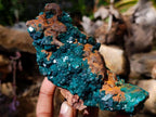 Natural Cabinet Size Dioptase Specimen with Siderite on a Dolomite Matrix x 1 From Mashamba East, Congo