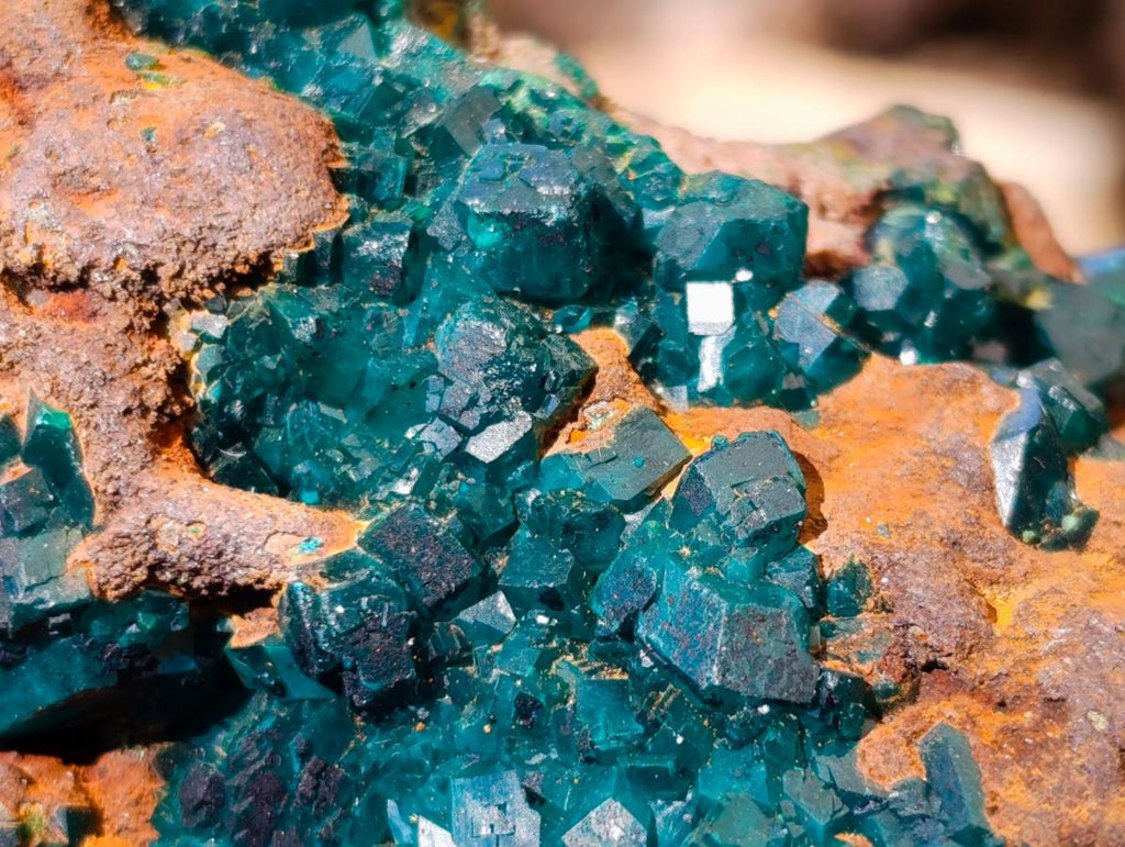 Natural Cabinet Size Dioptase Specimen with Siderite on a Dolomite Matrix x 1 From Mashamba East, Congo
