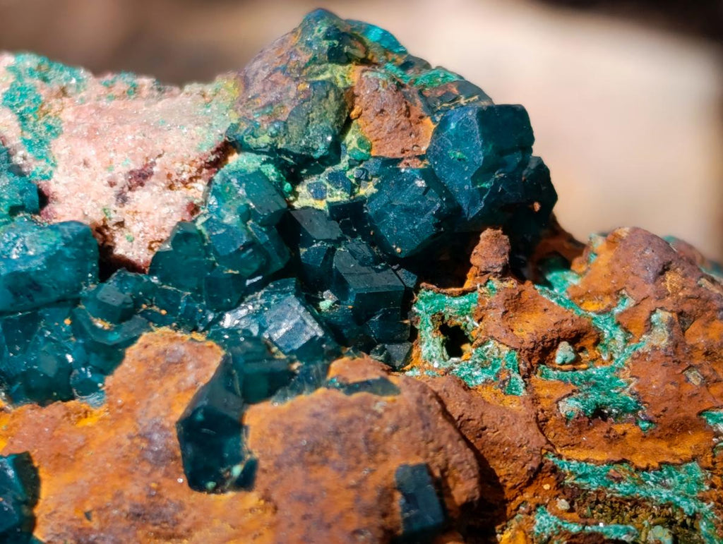 Natural Cabinet Size Dioptase Specimen with Siderite on a Dolomite Matrix x 1 From Mashamba East, Congo