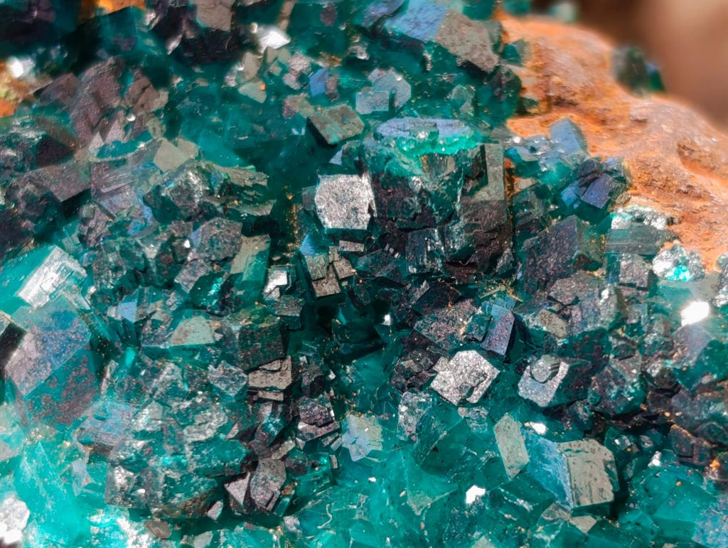 Natural Cabinet Size Dioptase Specimen with Siderite on a Dolomite Matrix x 1 From Mashamba East, Congo
