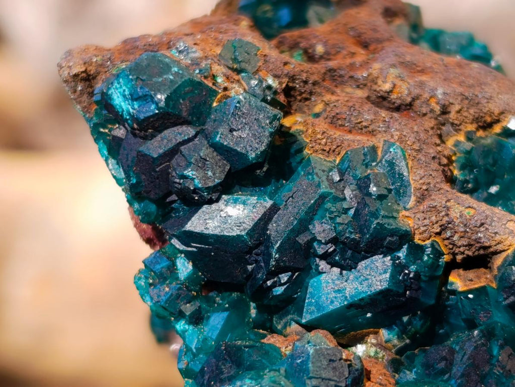 Natural Cabinet Size Dioptase Specimen with Siderite on a Dolomite Matrix x 1 From Mashamba East, Congo