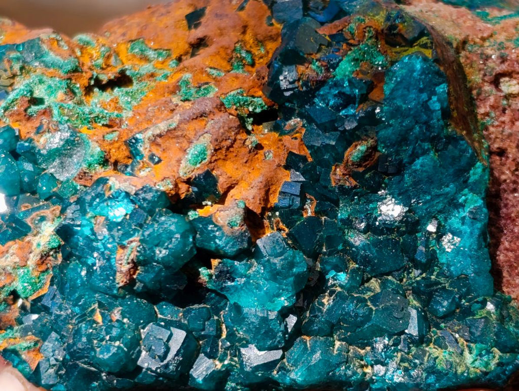 Natural Cabinet Size Dioptase Specimen with Siderite on a Dolomite Matrix x 1 From Mashamba East, Congo