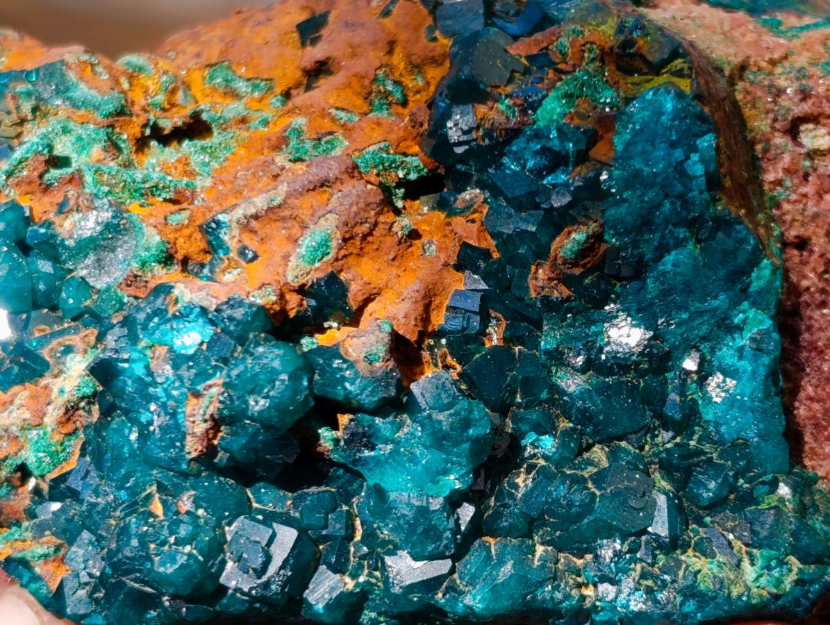 Natural Cabinet Size Dioptase Specimen with Siderite on a Dolomite Matrix x 1 From Mashamba East, Congo
