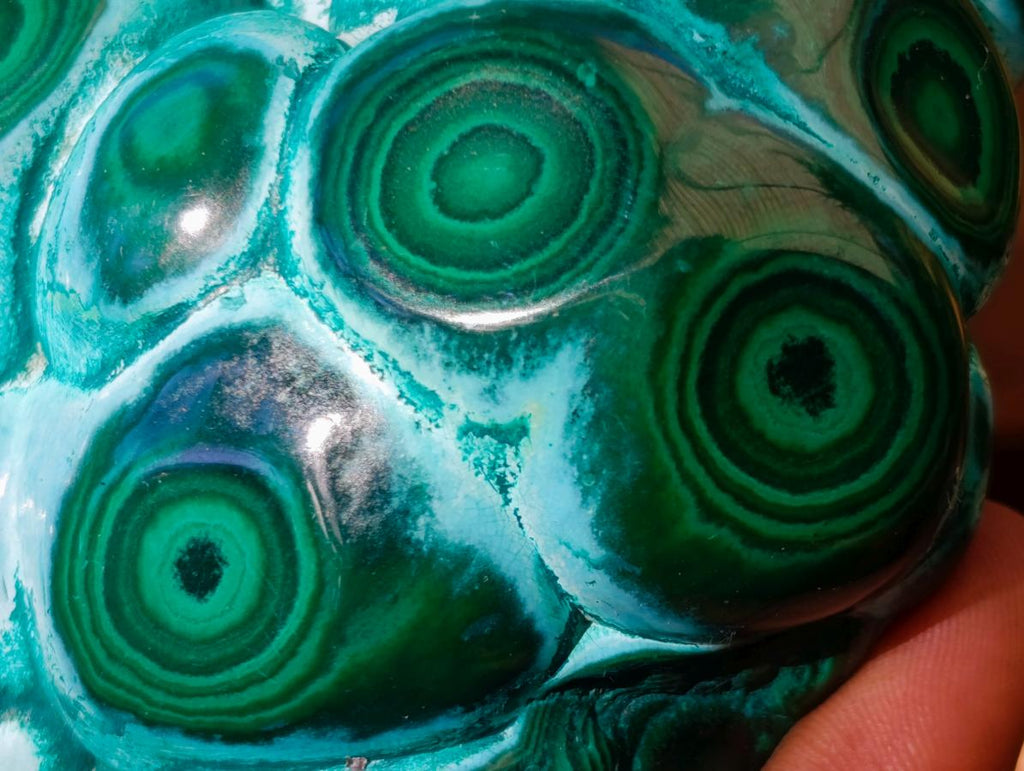 Polished "Eye" Ring Patterned Malacolla Free Form x 1 From Kulukuluku, Congo