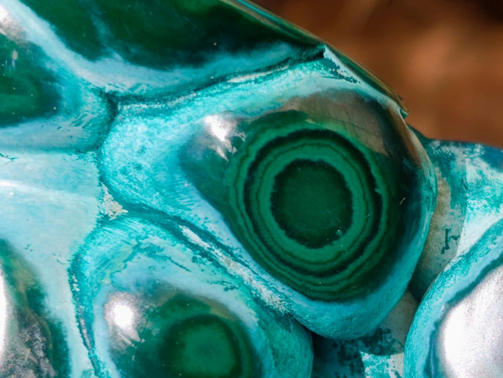 Polished "Eye" Ring Patterned Malacolla Free Form x 1 From Kulukuluku, Congo
