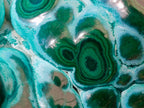 Polished "Eye" Ring Patterned Malacolla Free Form x 1 From Kulukuluku, Congo