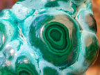 Polished "Eye" Ring Patterned Malacolla Free Form x 1 From Kulukuluku, Congo