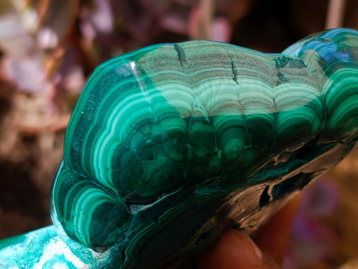 Polished "Eye" Ring Patterned Malacolla Free Form x 1 From Kulukuluku, Congo
