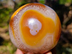 Polished Flower Carnelian Gemstone Sphere x 1 From Lemur Island, Madagascar