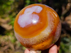 Polished Flower Carnelian Gemstone Sphere x 1 From Lemur Island, Madagascar