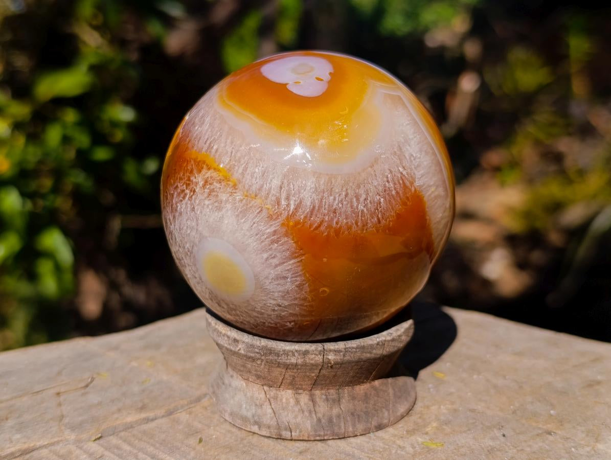 Polished Flower Carnelian Gemstone Sphere x 1 From Lemur Island, Madagascar