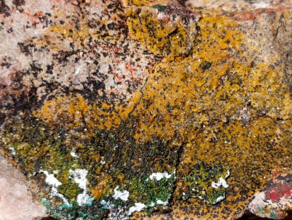 Natural Cabinet Size Dioptase Specimen on a Dolomite Matrix x 1 From Mashamba East, Congo