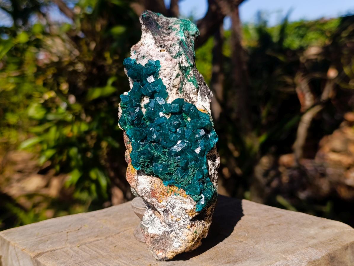 Natural Cabinet Size Dioptase Specimen on a Dolomite Matrix x 1 From Mashamba East, Congo