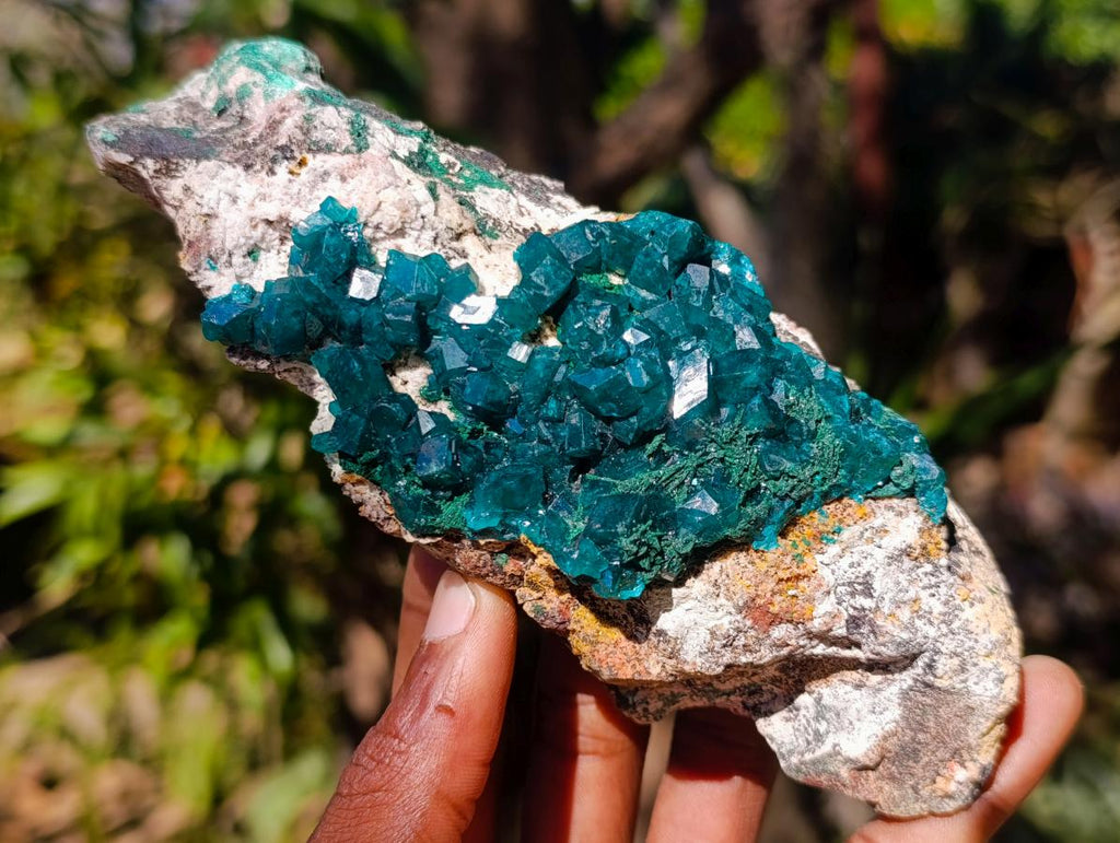 Natural Cabinet Size Dioptase Specimen on a Dolomite Matrix x 1 From Mashamba East, Congo
