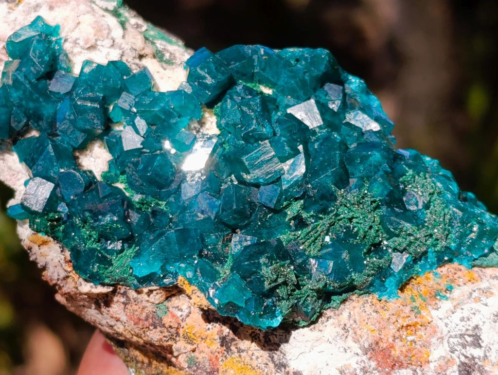 Natural Cabinet Size Dioptase Specimen on a Dolomite Matrix x 1 From Mashamba East, Congo