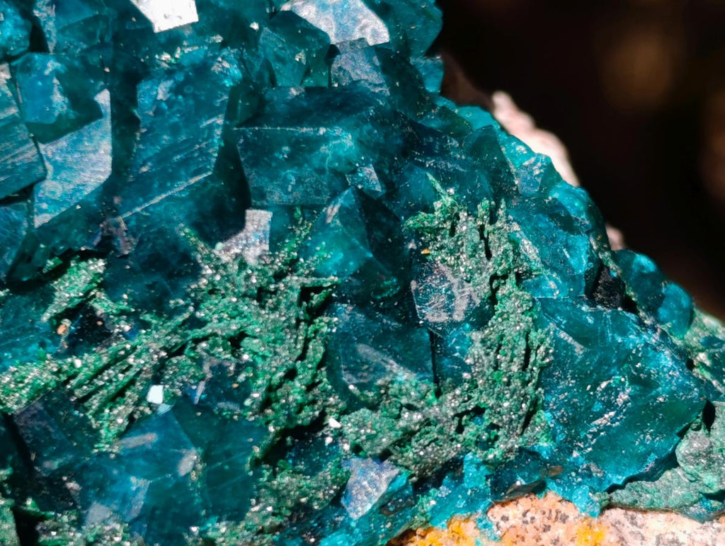 Natural Cabinet Size Dioptase Specimen on a Dolomite Matrix x 1 From Mashamba East, Congo