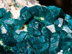 Natural Cabinet Size Dioptase Specimen on a Dolomite Matrix x 1 From Mashamba East, Congo