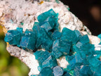 Natural Cabinet Size Dioptase Specimen on a Dolomite Matrix x 1 From Mashamba East, Congo