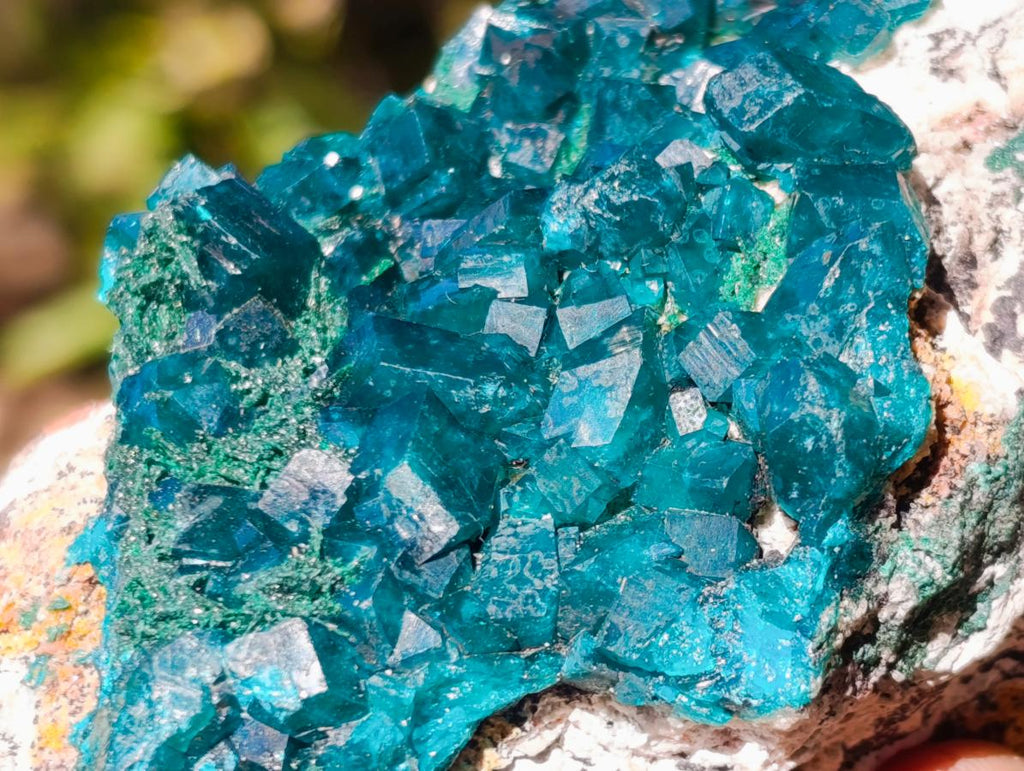 Natural Cabinet Size Dioptase Specimen on a Dolomite Matrix x 1 From Mashamba East, Congo