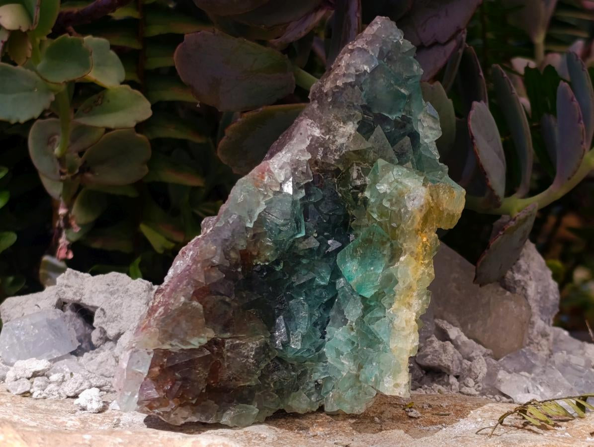 Natural Cabinet Size Riemvasmaak Bipyramidal Green Fluorite Specimen x 1 From Riemvasmaak, South Africa