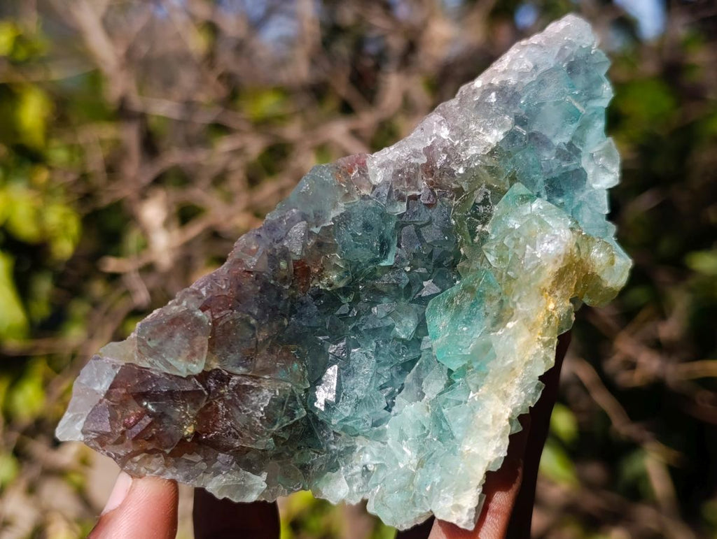 Natural Cabinet Size Riemvasmaak Bipyramidal Green Fluorite Specimen x 1 From Riemvasmaak, South Africa