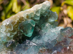 Natural Cabinet Size Riemvasmaak Bipyramidal Green Fluorite Specimen x 1 From Riemvasmaak, South Africa