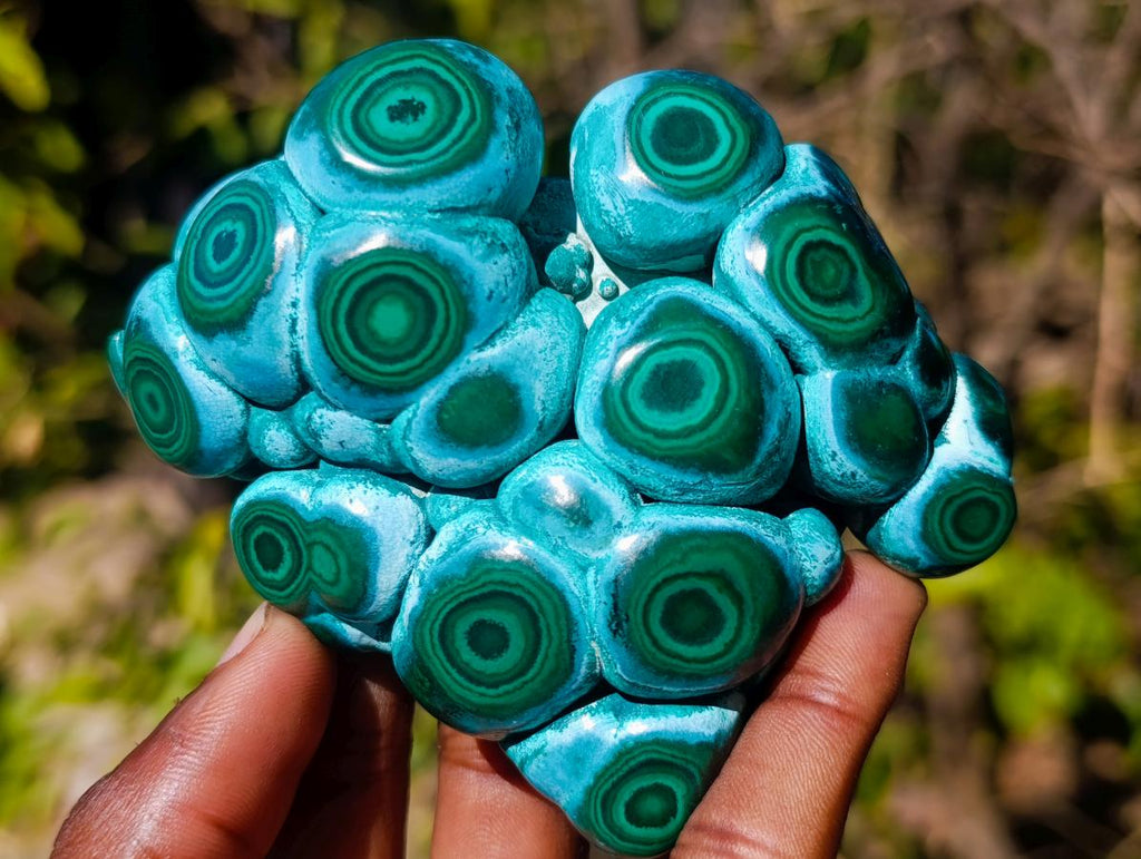 Polished Ring Patterned Malacolla Free Form x 1 From Kulukuluku, Congo