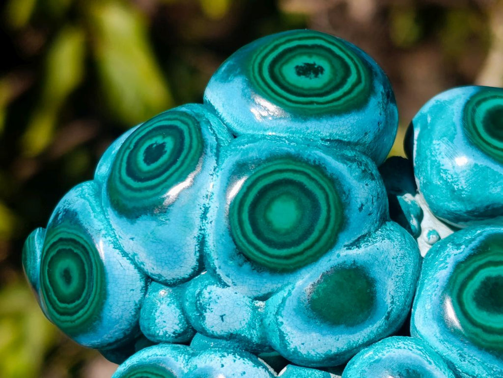 Polished Ring Patterned Malacolla Free Form x 1 From Kulukuluku, Congo