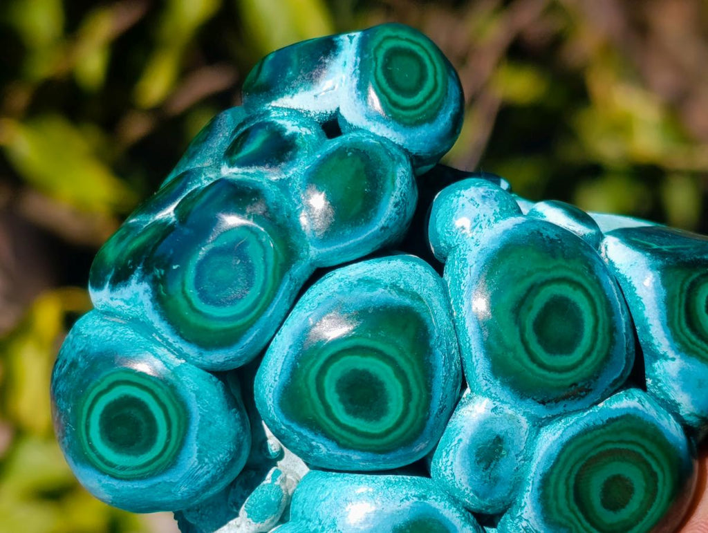 Polished Ring Patterned Malacolla Free Form x 1 From Kulukuluku, Congo