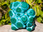 Polished Ring Patterned Malacolla Free Form x 1 From Kulukuluku, Congo
