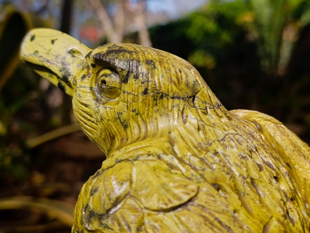 Hand Made Large Leopard Stone Raven Carving x 1 From Nyanga, Zimbabwe