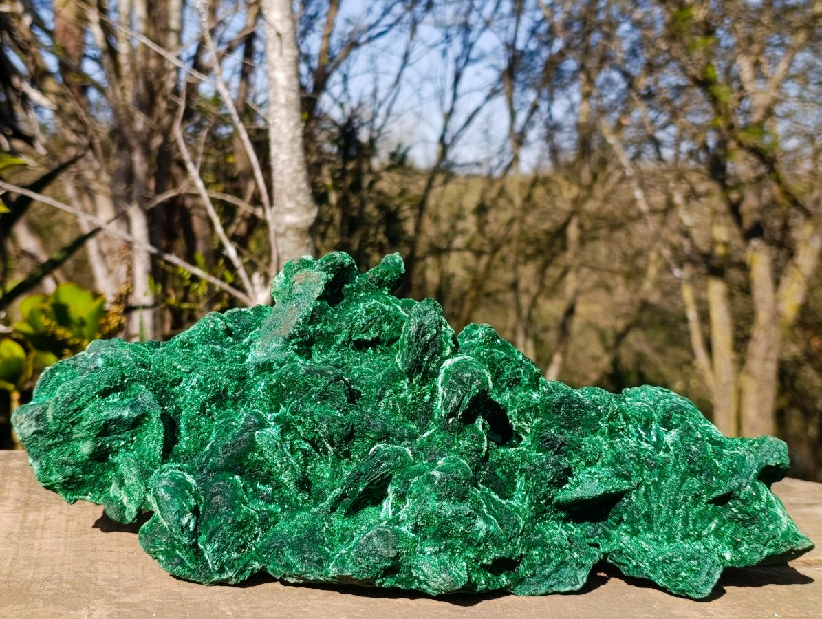 Natural XL Velvet Silky Malachite Specimen x 1 From Kasompe, Congo