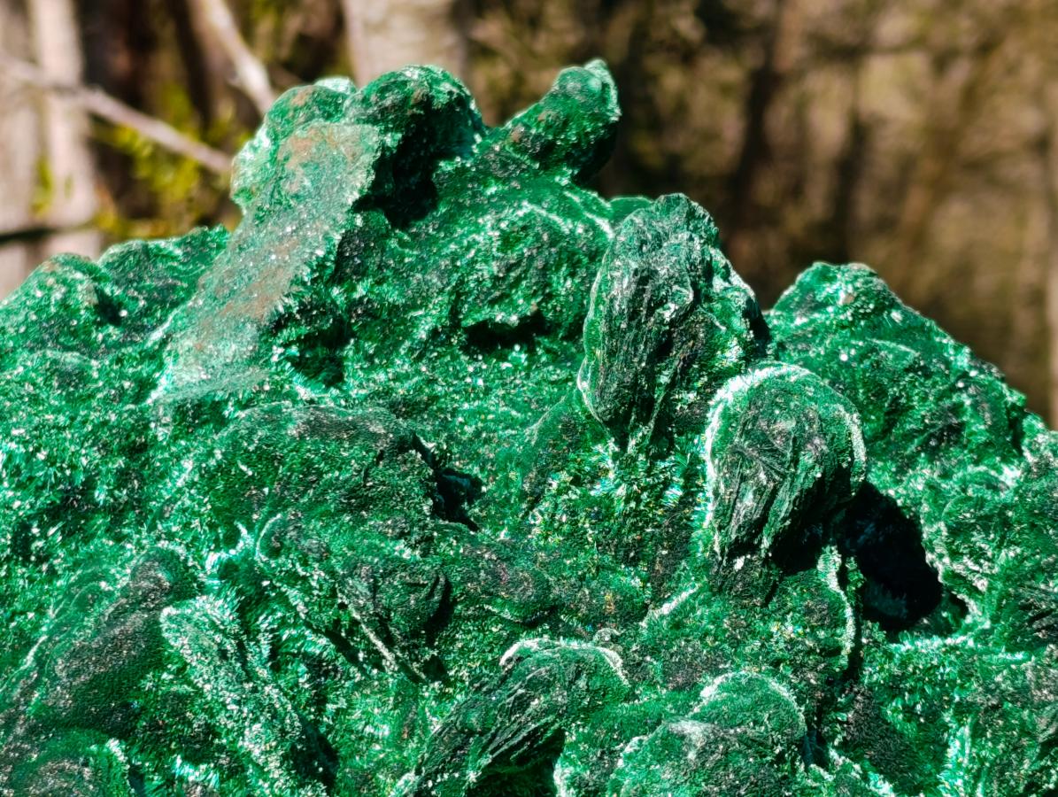 Natural XL Velvet Silky Malachite Specimen x 1 From Kasompe, Congo