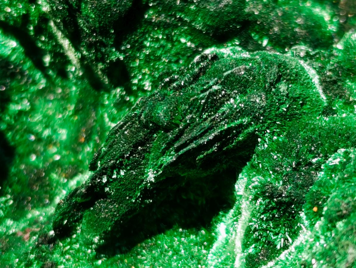 Natural XL Velvet Silky Malachite Specimen x 1 From Kasompe, Congo