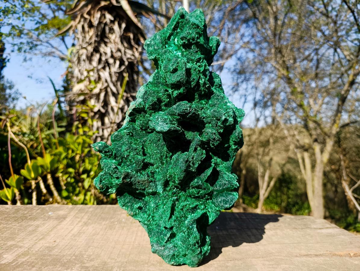 Natural XL Velvet Silky Malachite Specimen x 1 From Kasompe, Congo