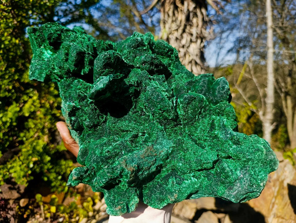 Natural XL Velvet Silky Malachite Specimen x 1 From Kasompe, Congo
