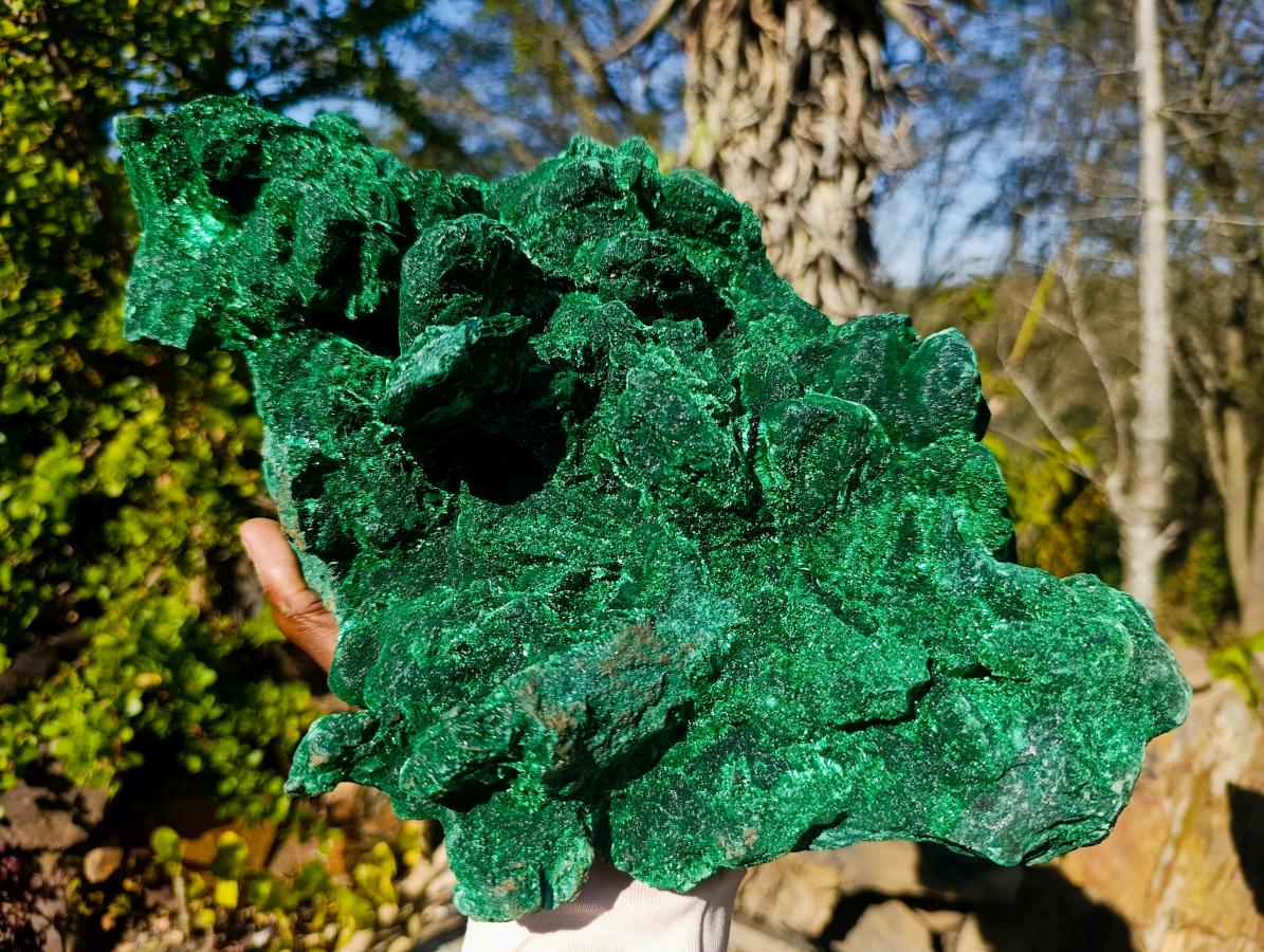 Natural XL Velvet Silky Malachite Specimen x 1 From Kasompe, Congo
