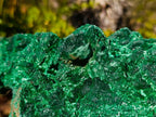 Natural XL Velvet Silky Malachite Specimen x 1 From Kasompe, Congo