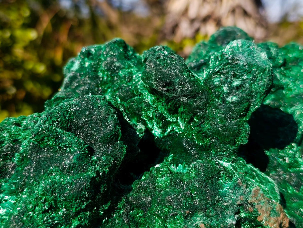 Natural XL Velvet Silky Malachite Specimen x 1 From Kasompe, Congo