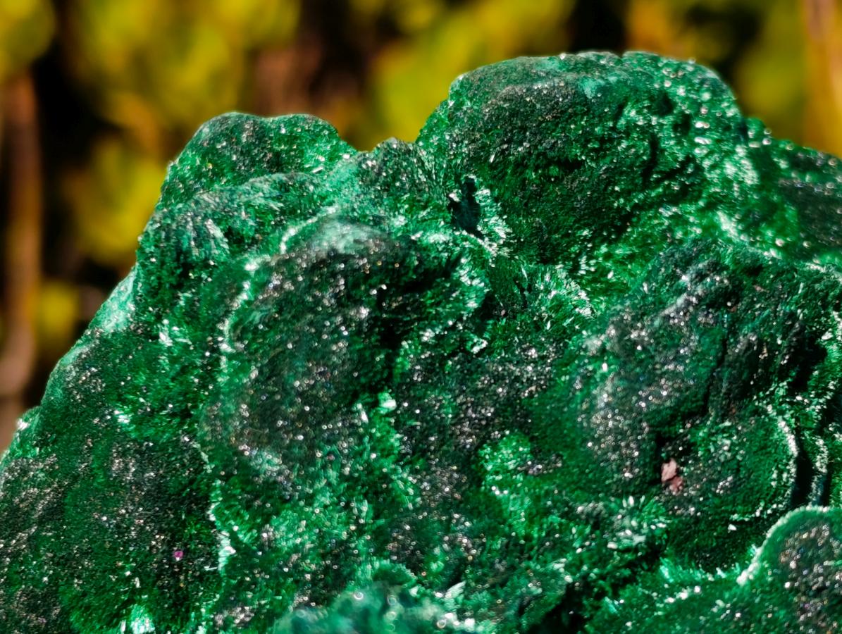 Natural XL Velvet Silky Malachite Specimen x 1 From Kasompe, Congo