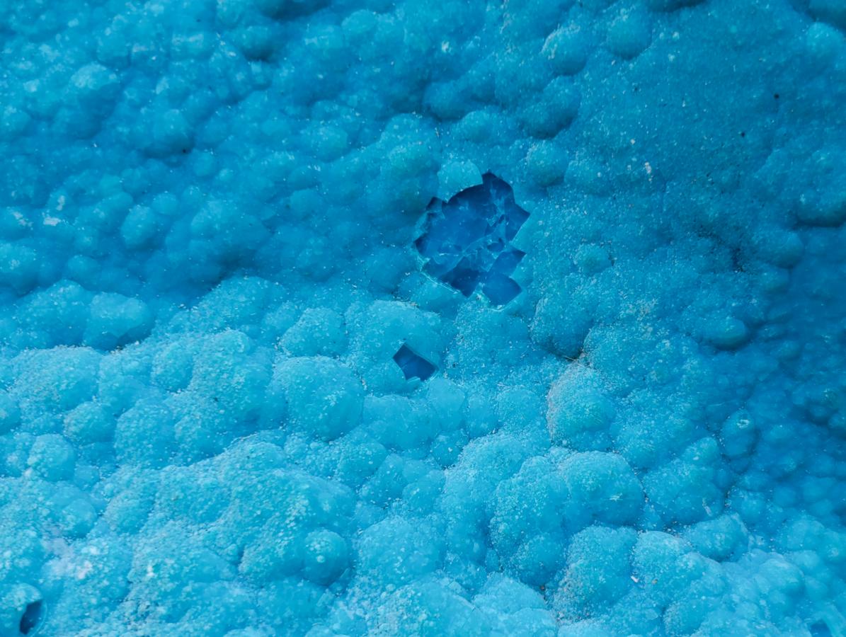 Natural Cabinet Size Botryoidal Chrysocolla Specimen x 1 From Kulukuluku, Congo