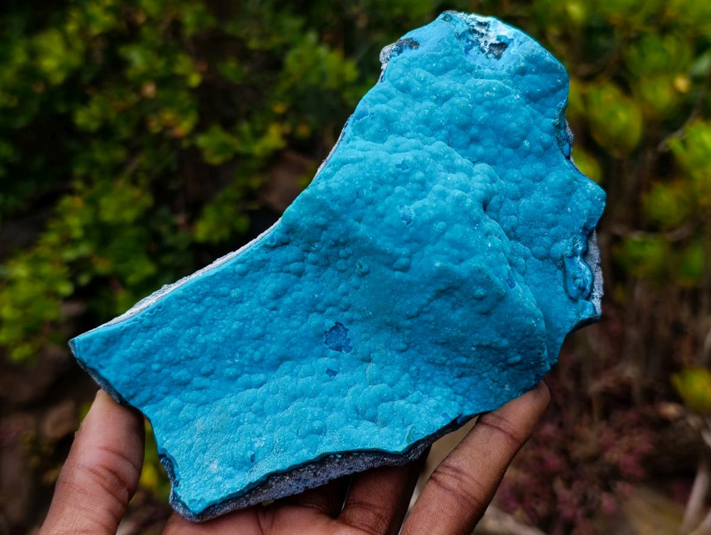 Natural Cabinet Size Botryoidal Chrysocolla Specimen x 1 From Kulukuluku, Congo
