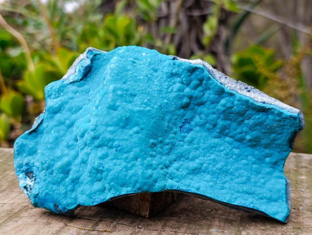 Natural Cabinet Size Botryoidal Chrysocolla Specimen x 1 From Kulukuluku, Congo