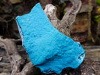 Natural Cabinet Size Botryoidal Chrysocolla Specimen x 1 From Kulukuluku, Congo