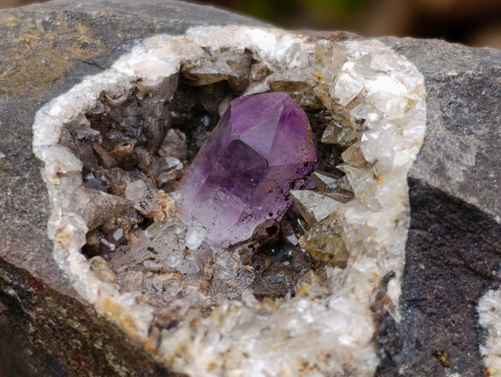 Natural Cabinet Size Brandberg Quartz Crystal Vug Specimen x 1 From Brandberg, Namibia