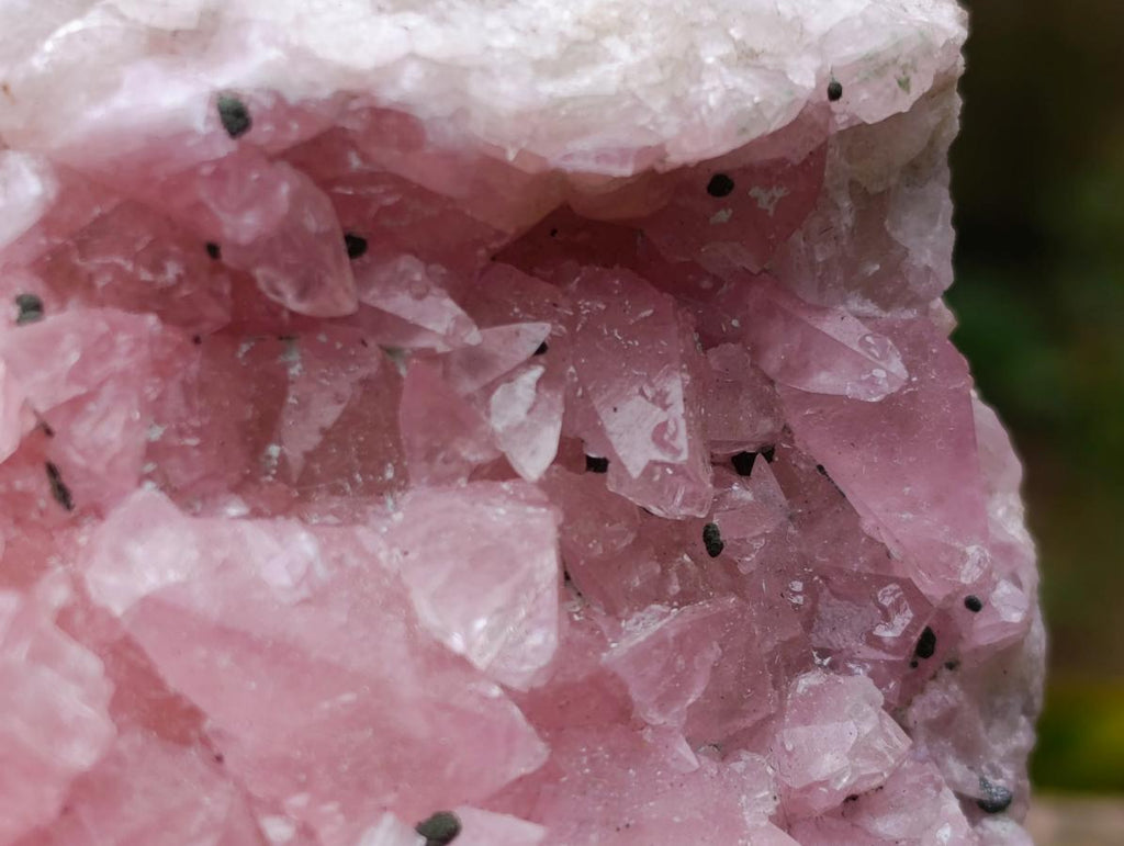 Natural Large Cabinet Size Super Rare Dog Tooth Rhodocalcite Specimen on a Dolomite Matrix x 1 From Mashamba West Mine, Congo