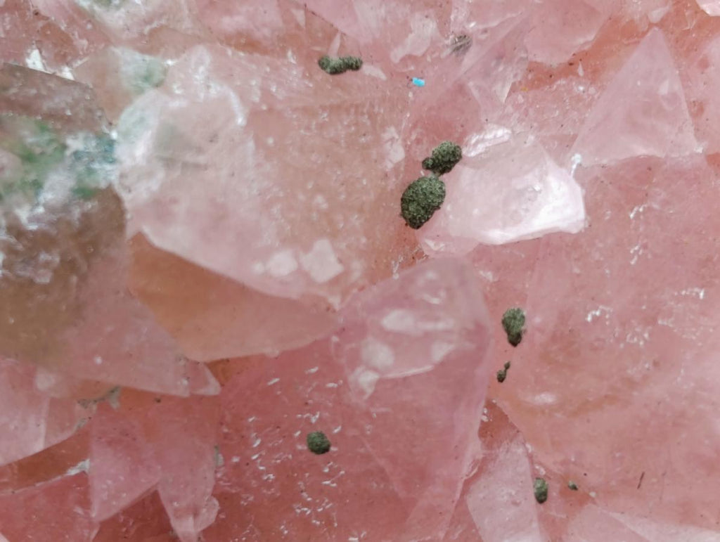 Natural Large Cabinet Size Super Rare Dog Tooth Rhodocalcite Specimen on a Dolomite Matrix x 1 From Mashamba West Mine, Congo