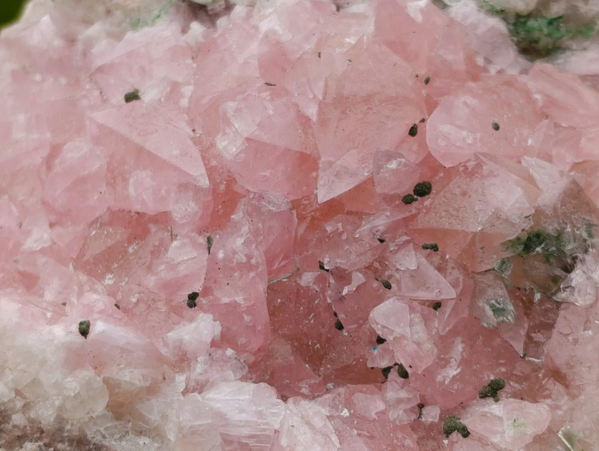 Natural Large Cabinet Size Super Rare Dog Tooth Rhodocalcite Specimen on a Dolomite Matrix x 1 From Mashamba West Mine, Congo